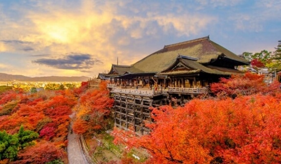 Khám phá vẻ đẹp bốn mùa Nhật Bản khi làm việc tại Nhật Bản